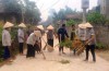 Điện Biên: Nhiều nỗ lực trong xây dựng nông thôn mới