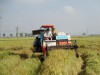 Thực hiện chính sách hỗ trợ theo Quyết định số 45 đã hình thành nhiều liên kết chuỗi sản xuất, nâng cao giá trị, chất lượng, thương hiệu sản phẩm.  Trong ảnh: Nông dân xã Thanh Xương thu hoạch lúa mùa năm 2019.