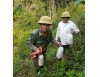 Bí đao Tìa Dình là một trong những sản phẩm được công nhận đạt OCOP của huyện Ðiện Biên Ðông. Trong ảnh: Anh Giàng Nhè Hạ (bên trái), bản Chua Ta 2, xã Tìa Dình thu hoạch bí đao.