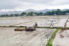 Nông dân huyện Ðiện Biên làm đất gieo cấy lúa mùa.