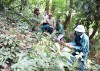 Người dân bản Mường Tùng phát quang cây bụi, bảo vệ diện tích rừng được giao khoán.