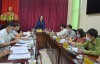 Đồng chí Lò Thị Luyến, Phó Trưởng đoàn chuyên trách Đoàn đại biểu Quốc hội tỉnh kết luận buổi làm việc với huyện Điện Biên Đông.