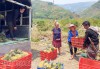 Sản phẩm OCOP dứa tươi Na Sang (huyện Mường Chà) được tiểu thương từ tỉnh Sơn La và TP. Hà Nội lên thu mua. Trong ảnh: Nông dân xã Na Sang xuất bán dứa cho khách hàng.