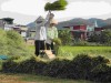 Người dân xã Thanh Hưng, huyện Điện Biên thu hoạch lúa. (Ảnh: ĐP)