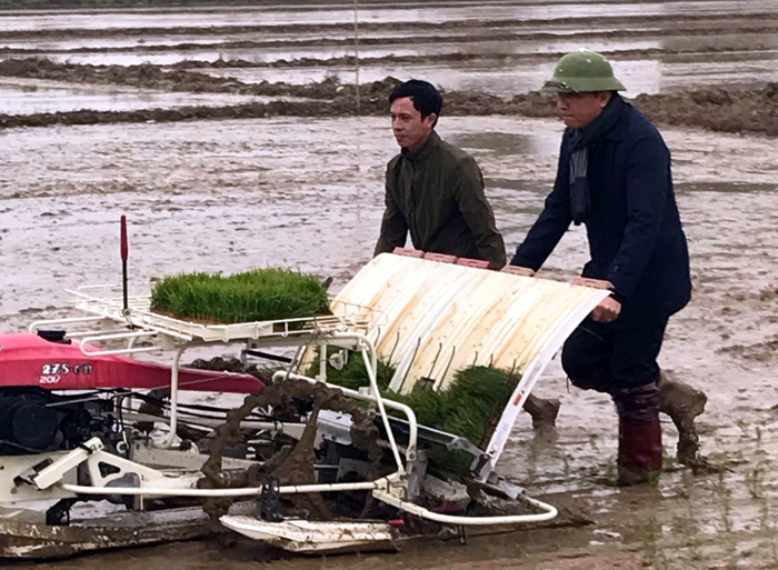 Phó Chủ tịch UBND tỉnh Lò Văn Tiến điều khiển máy cấy trong buổi lễ xuống đồng.